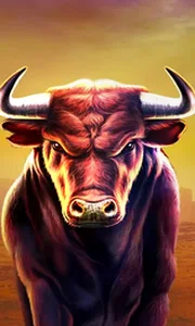 Black Bull